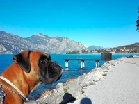 Hotel Casa Sartori 2*