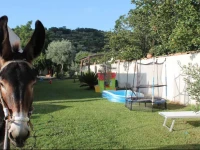 Casa Vacanze Borgo Borghese