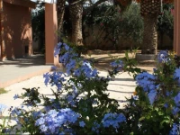 Case Vacanze Welcome to Sicily