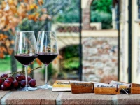 Agriturismo Il Piaggione