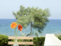 Residence Frontemare Torre Suda