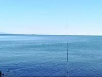 LApprodo Fabbricotti