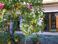 Casa tra il verde e il blu