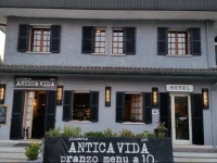 Antica Vida