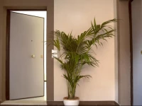 Anna Boccali Appartamenti