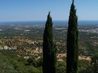 Magica Casa Guest House