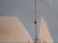 Appartamenti Del Pescatore