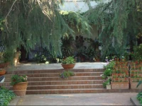 B&B Cottage Dei Consoli