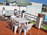 Maridea Casevacanza - Conchiglia - Tellina