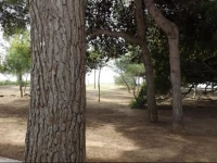 Bilo Rivabella Kale Polis