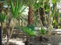 Residence Baia del Silenzio