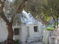 Trullo degli Ulivi