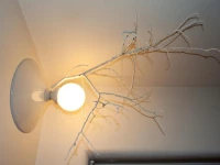 Casa Mu Terraces on city center