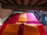 Biciclo Ferrara Citta