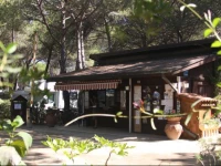 Camping Village Il Sole
