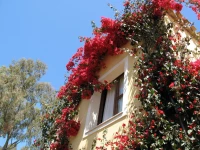 Borgo degli Ulivi Residence 3*