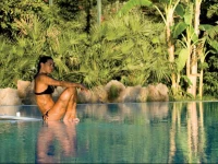 Appartamenti Le Pleiadi - Succhivo dIschia