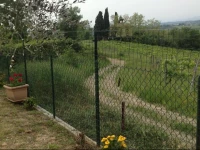 Delizioso Terratetto