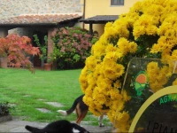 Agriturismo I Pianacci