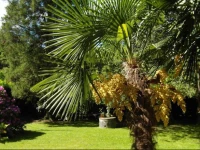 Holiday Home Lago dOrta