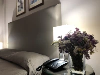 Domizia Palace Hotel