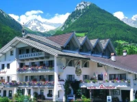 Hotel Ahrntaler Alpenhof