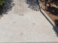 WS Villa Orsa Minore