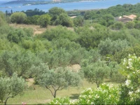 Ville in Costa Smeralda