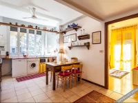 Temporary House - Fiera City