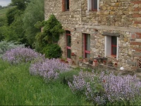Agriturismo Dondoli