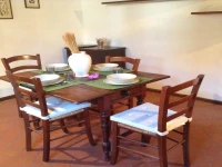 Vellutini number one