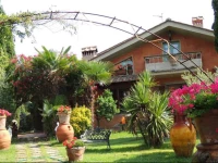 Il Cipresso del Gallo