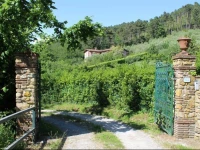 Holiday House In Tuscany Countryside Near Lucca