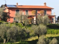 Olivia Bed And Breakfast