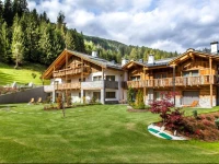 Alpine Mountain Chalet