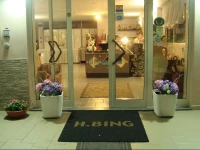 Hotel Bing