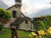 Bed and Breakfast Alpe Veglia