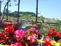 Hotel Risorgimento 3*