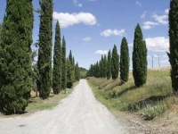 Agriturismo Il Casino