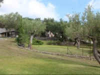 Country House Pie dUlivo