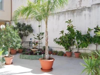 Apartment Casa Francesca