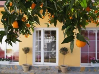 Tirana Metropol 23 Hostel