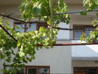 Guest Rooms Radost 2*