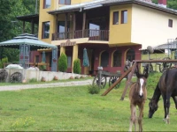 Guest House Alfa Daniel