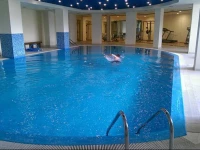 St. Johns Park Apartment