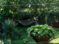 Veliana Guest House 3*