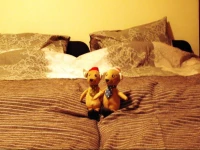 Villa Astoria 2 Studio