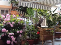 Guest House Villa Roza 2*