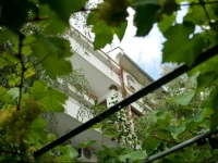 Guest House Barbov 2*