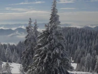 Apartment in the Castle